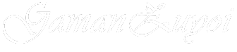light logo